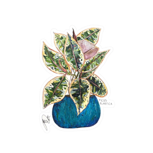 Ficus Elastica Kiss-Cut Sticker
