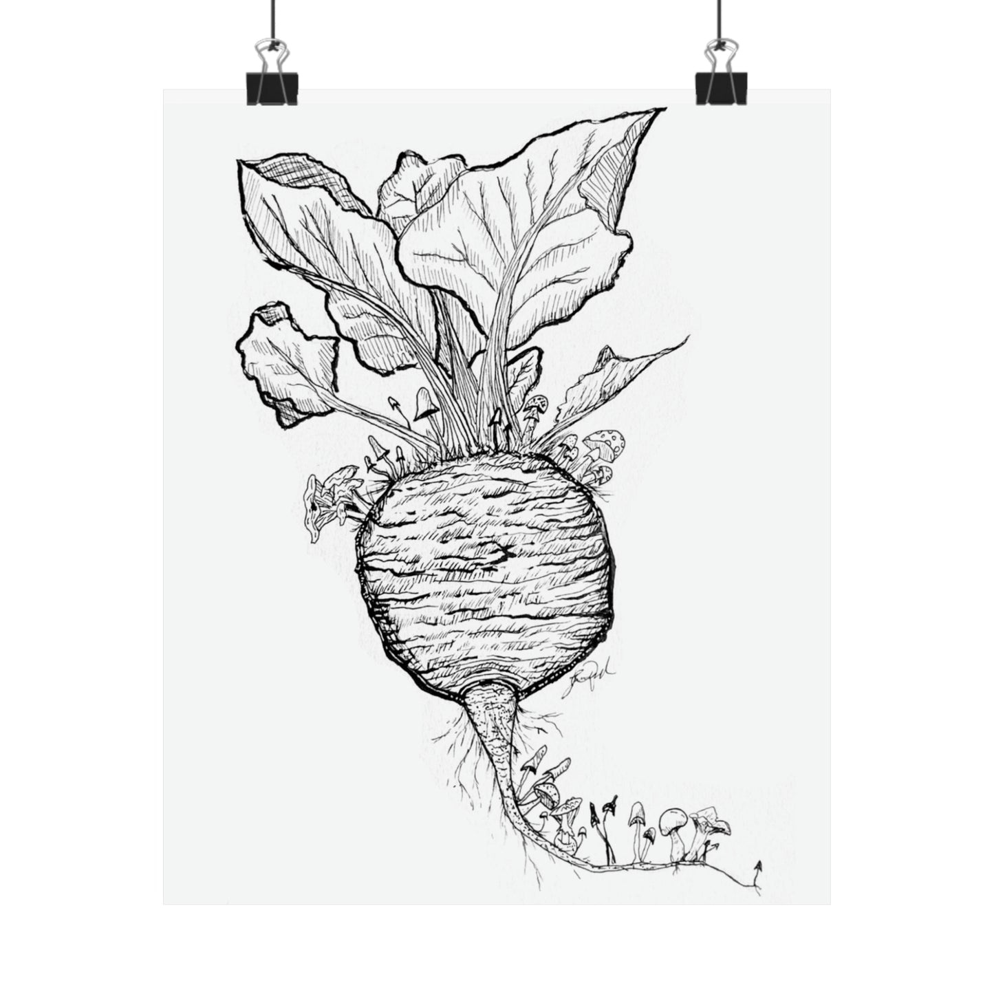Beet's Mycology
