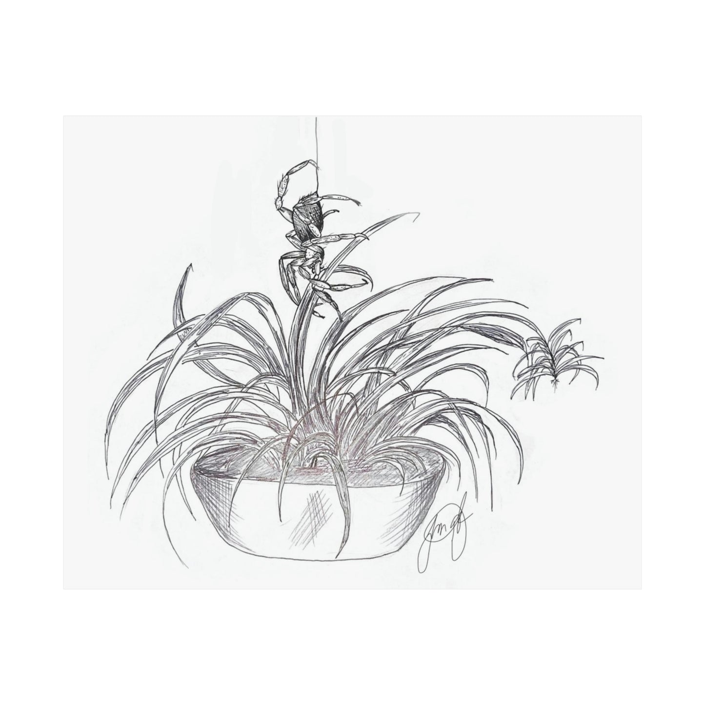 Spider's Sanctuary Art Print