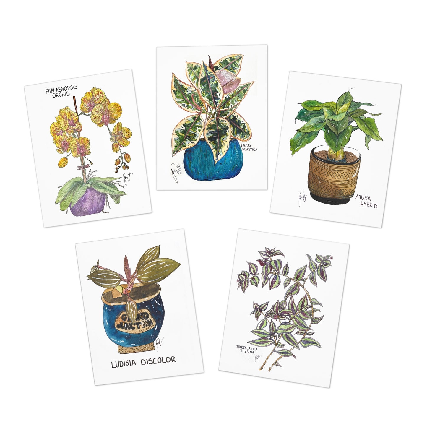 Houseplant Multi-Design Greeting Cards (5-Pack)