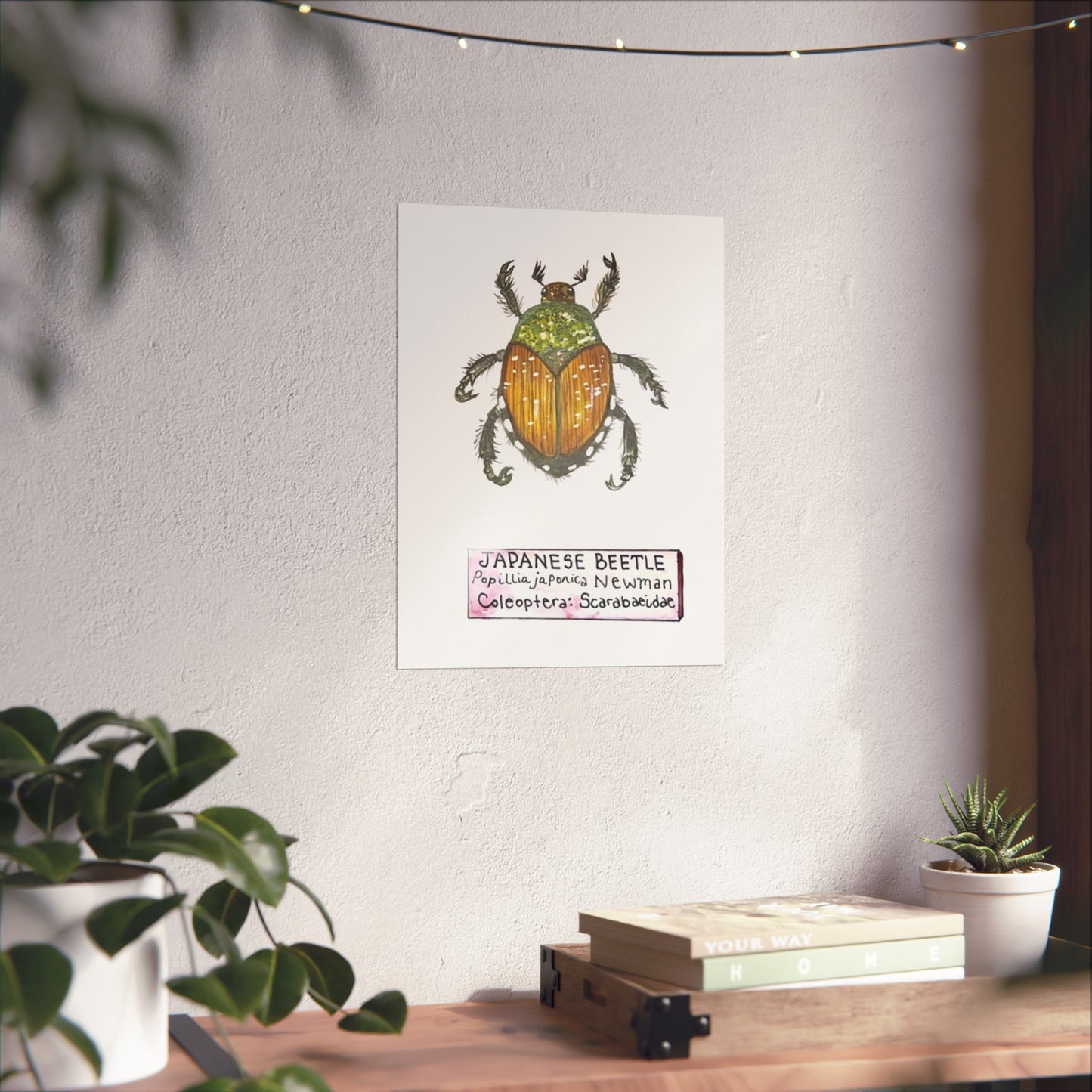 Japanese Beetle