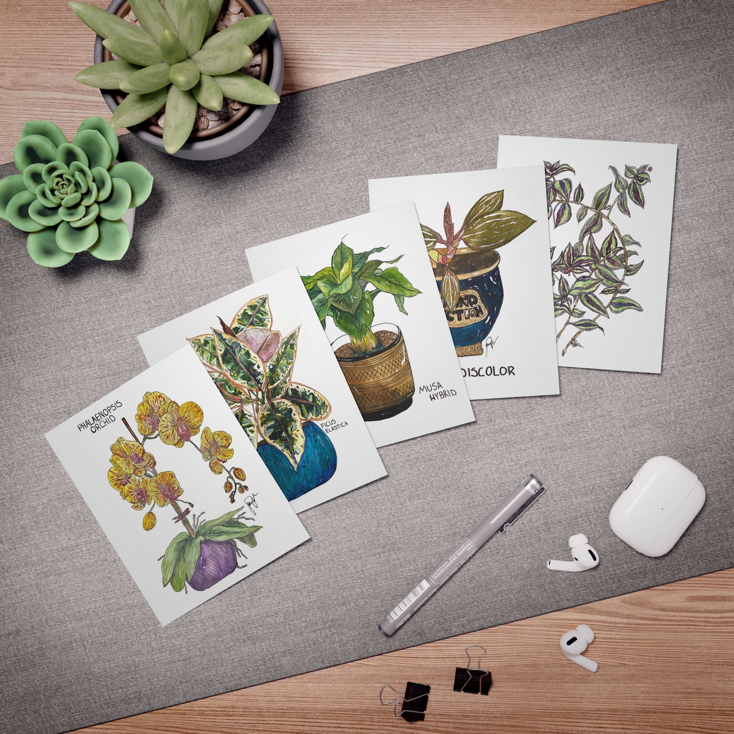 Houseplant Multi-Design Greeting Cards (5-Pack)