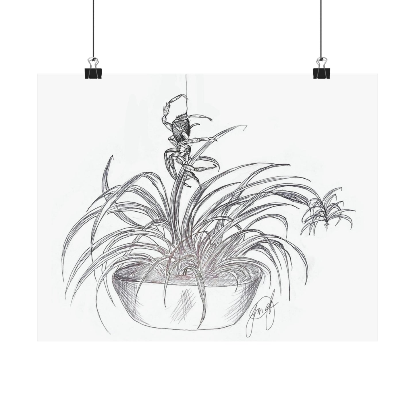 Spider's Sanctuary Art Print