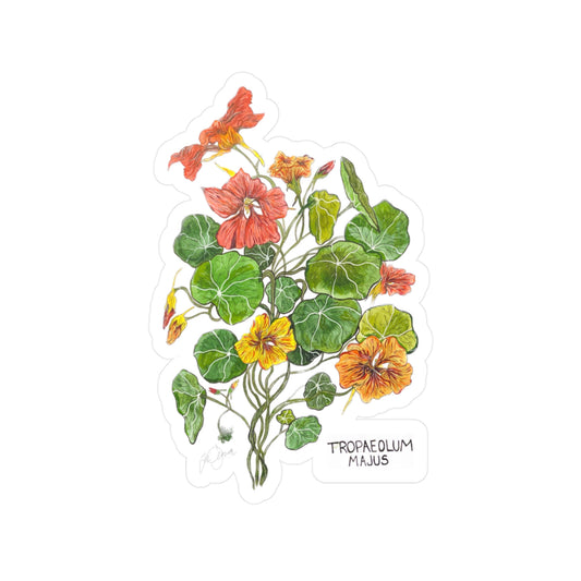 Tropaeolum Majus Kiss-Cut Sticker