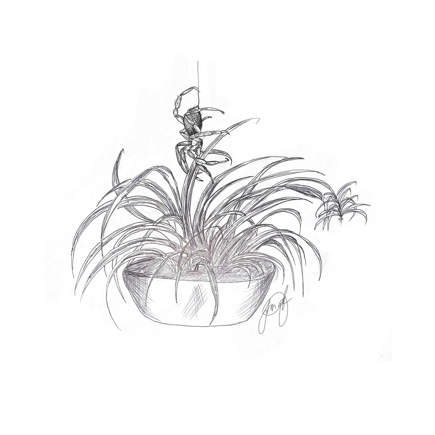 Spider's Sanctuary Art Print