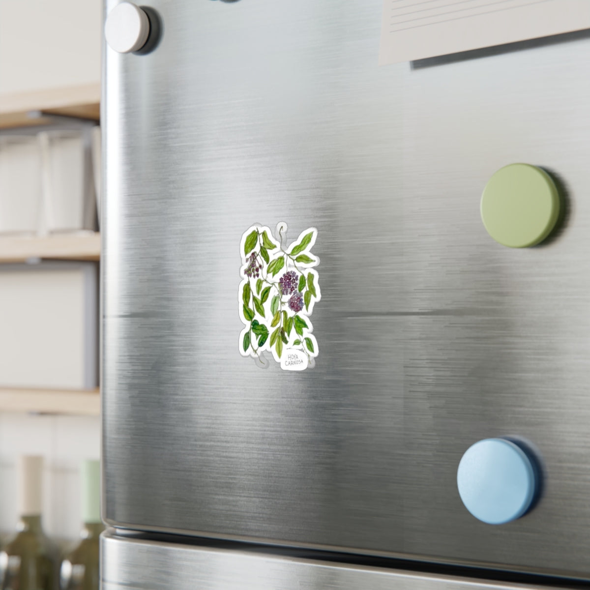 Hoya Carnosa Kiss-Cut Sticker